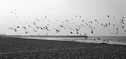Morgen / ***