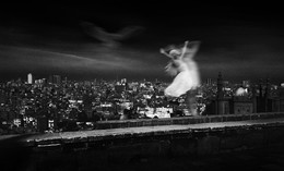 the city does not sleep / ***