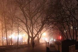 the city does not sleep / ***