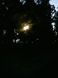 the city does not sleep / ***