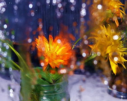 Ogonek. / ***