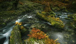 River .. / ***