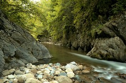 Forest River / ***