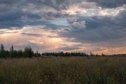 Auf dem Heimweg / ***