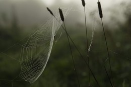 Die Ruhe / ***