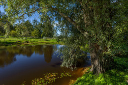 At the water / ***