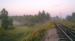 road in the fog / ***