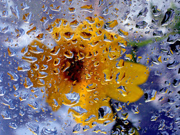 hinter Glas / ***