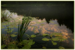 Nebel über dem Fluss / ***