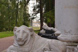 Manor Arkhangelsk / ***