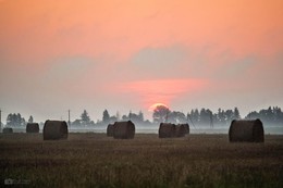 New day / nikkor 55-200mm