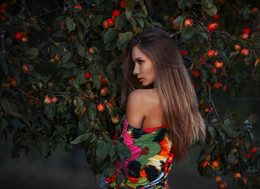 Apples / ***
