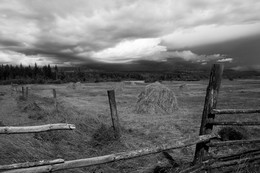 Storm / ***