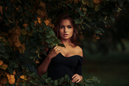 Nika / ***