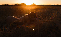 Erinnerungen an den Sommer / ***