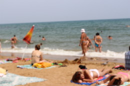 Remembering summer / ***