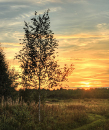 Erinnerungen an den Sommer / ***