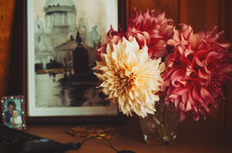 Autumn flowers / ...