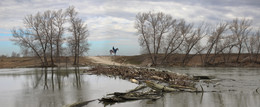 High Water / ***