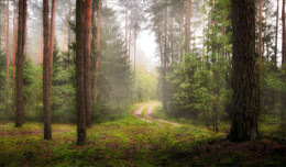 Auf der Straße / ***