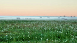 The day begins / ***