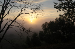 Dawn / ***
