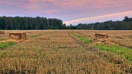 Morgendämmerung / ***