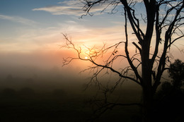 Morgendämmerung / ***