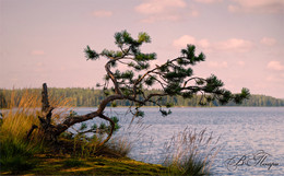 Abendskizze / ***