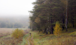 autumn trails / ***