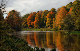 AUTUMN ... sometimes ... / ***