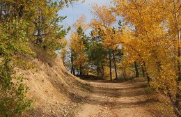 In the fall? / ***