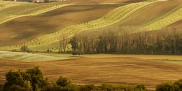 South Moravia / -------