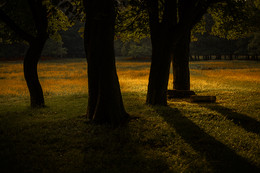 HERBSTLICHT / Herbstlicht im NATURPARK HOHE MARK.