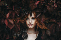 Hoffe, / ***