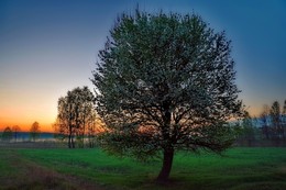 May morning / ***