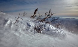 rough country / - - -