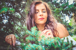Katerina / ***