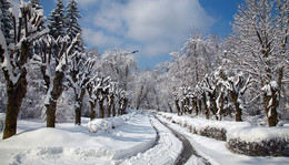 First Snow ... / ***