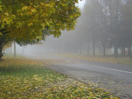 Loneliness / ***