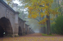 Autumn morning ... / ***