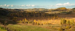 Herbst / ***