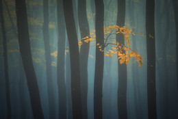 Der Geruch des Herbstes / ***