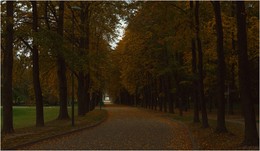 HerbstAllee / ***