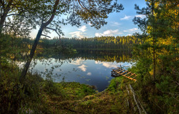 Forest lake / ***