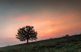 Dawn / ***