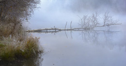 It's time to fog / ***