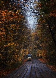 Moskauer Herbst / ***