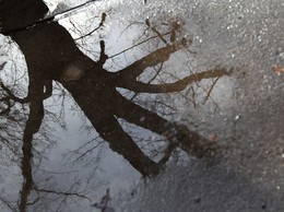 Reminiscence / [img]http://i.imgur.com/ZxVoI29.jpg[/img]