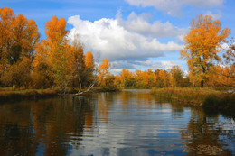 Autumn Joy / ***